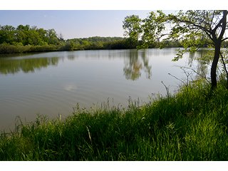 Property photo 65 - LAND AUCTION - 215+/- ACRES OFFERED IN 6 TRACTS IN VAN WERT COUNTY, OHIO